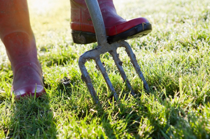 lawn care tools