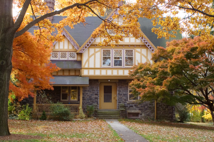 autum lawn care