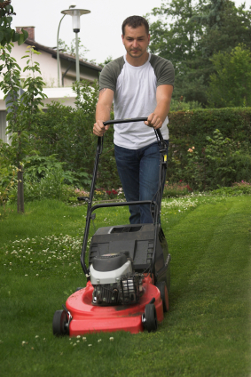 electric lawn mowers